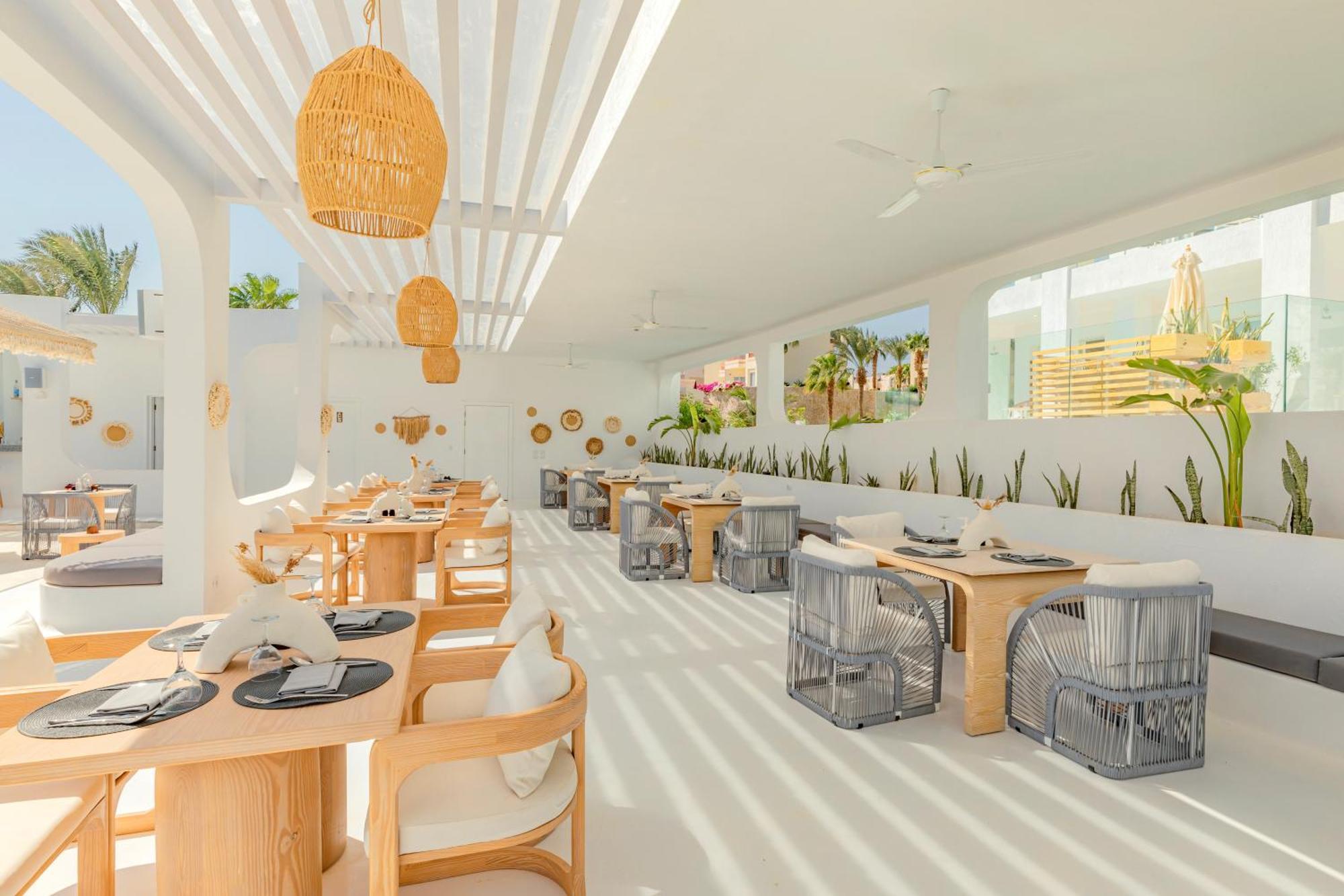Complex Meraki Sheikh Adults Only 5*